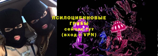 прущие грибы Арсеньев