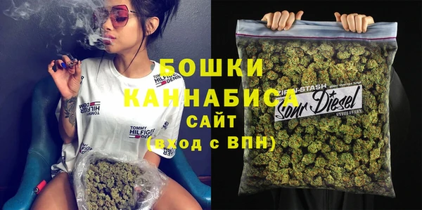 прущие грибы Арсеньев