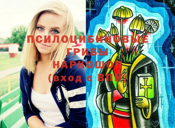 шишки Армянск
